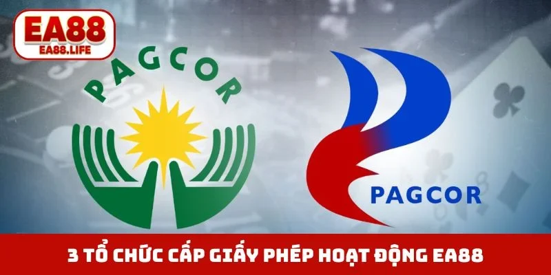3 tổ chức cấp giấy phép hoạt động EA88