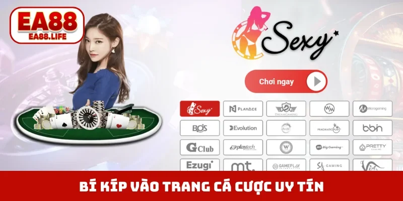 Bí kíp vào trang cá cược uy tín an toàn