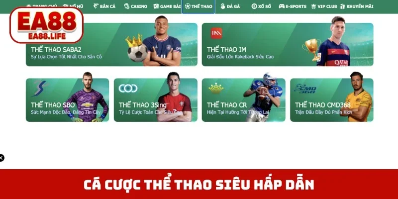 Cá cược thể thao siêu hấp dẫn